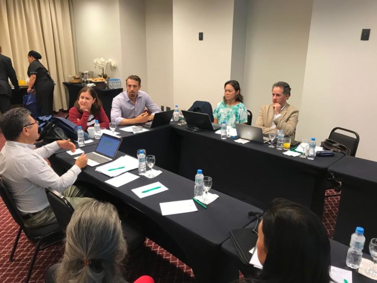 Diretoria do GEDIIB discute para Diretrizes e Normativas